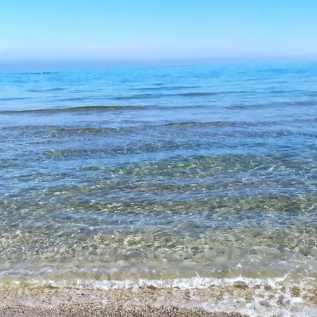 44 פסארו